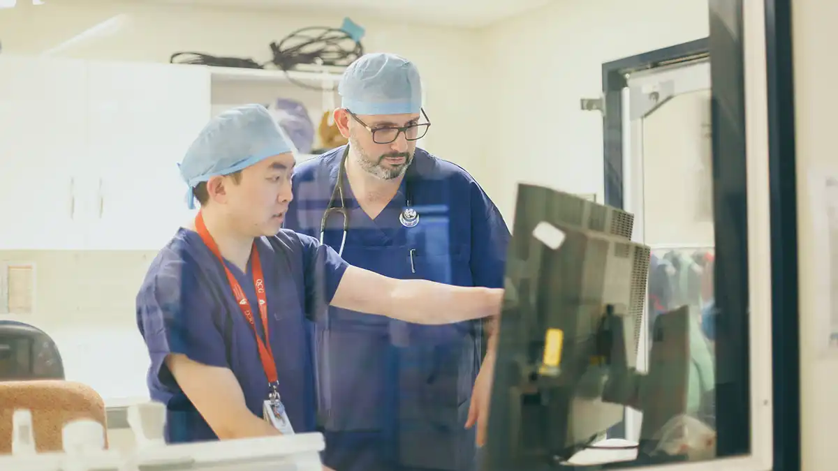 TAVI Teaching Centre of Excellence
